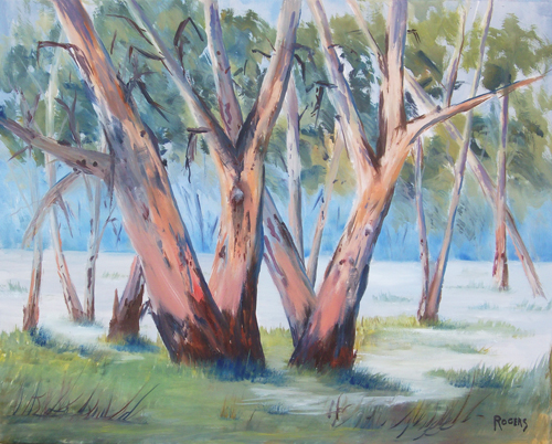 Majestic Murray Gums - Click Image to Close