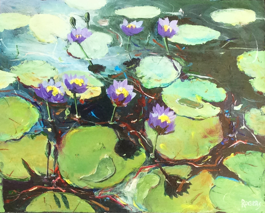 Parry's Lagoon No 2 - waterlilies
